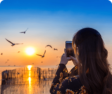 Traveller photographing a sunset over the sea as birds fly past